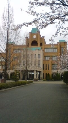 平成国际大学