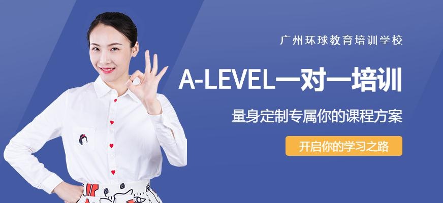 广州A-LEVEL一对一培训配图
