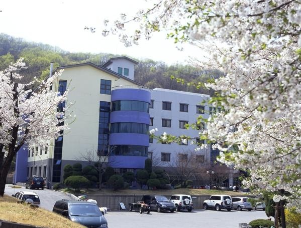 龙仁大学