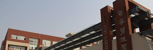 广东碧桂园(IB国际)学校2020年招生办