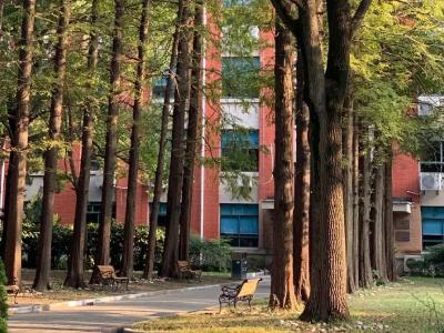 上海应用技术大学国际教育中心国际本硕课程(英美澳方向)