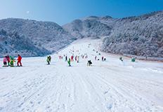 北京滑雪培训班价格