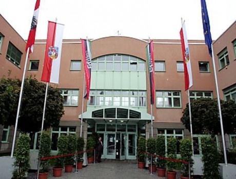 维也纳师范学院