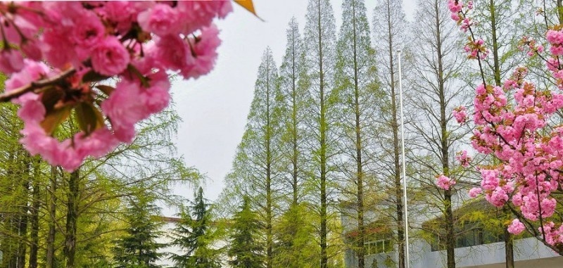 安徽林业职业技术学院2019年单招录取分数线