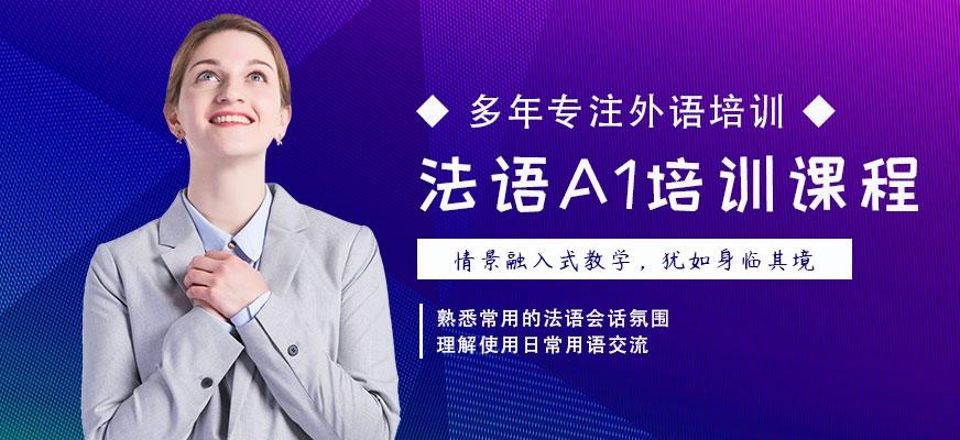 佳禾法语A1培训班