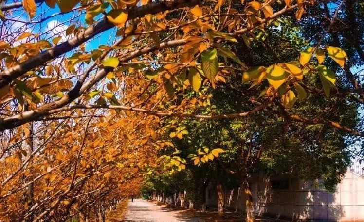 江苏昆山中等专业学校