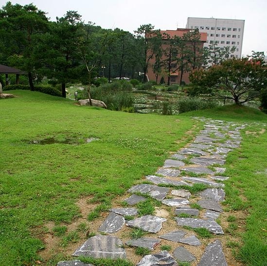 忠北大学