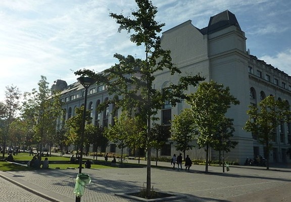 巴黎第七大学