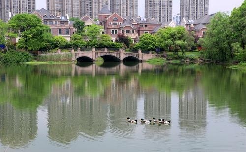 杭州育澜剑桥国际中心