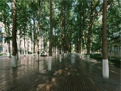成都电子科技大学OSSD国际课程