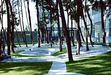 新潟青陵大学