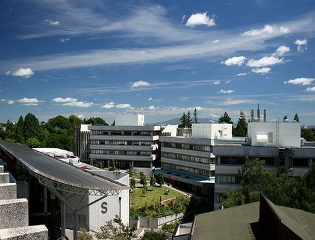怀卡托大学