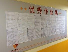 济南迪诺教育
