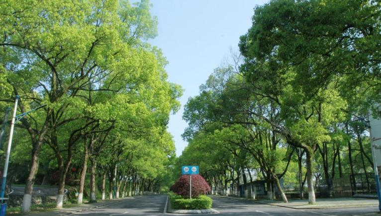 截图20200506135407