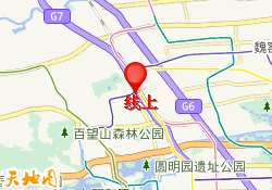 线上