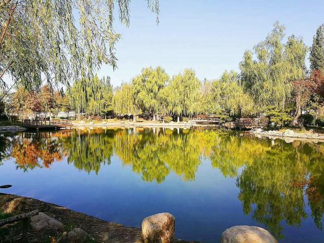 校园风采（二）