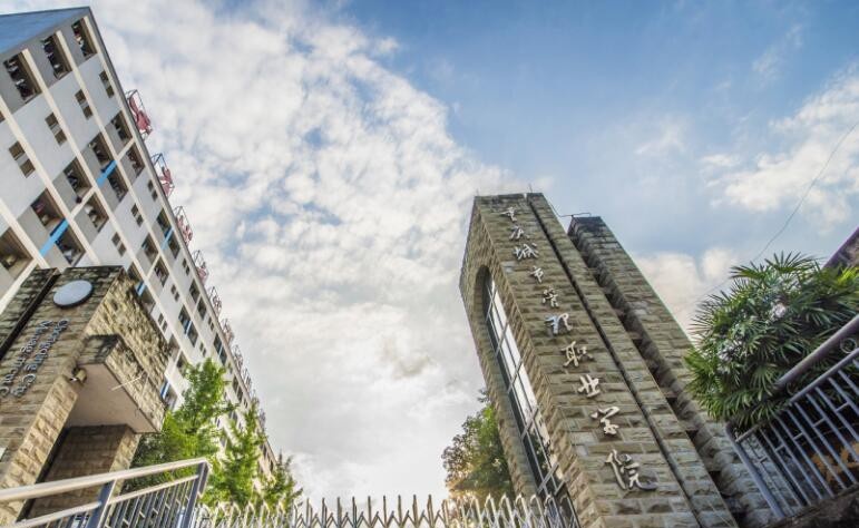 重庆城市管理职业学院2020年招生代码