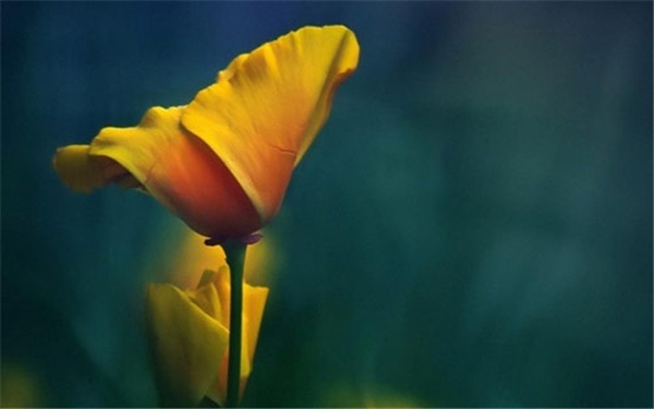 造价备考记不住？