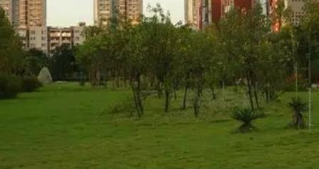 重庆电讯职业学院