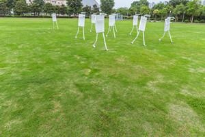 北京外国语大学在职研究生怎么报考
