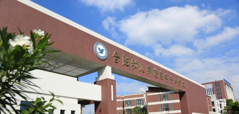 合肥幼儿师范高等专科学校2019年单招录取分数线