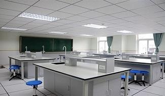 北京市新府学外国语学校