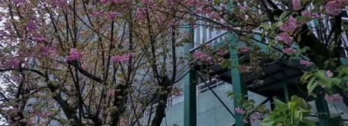 咸丰民族技工学校