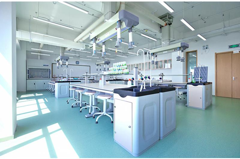 金华新东方双语学校