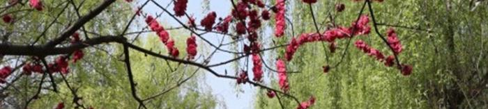 截图20210224150416