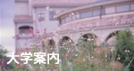 鹿儿岛纯心女子大学