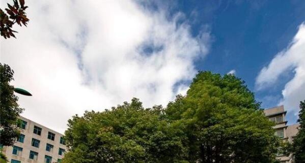 沿河土家族自治中等职业学校