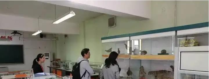 北京科迪实验中学初中部2023年学费标准