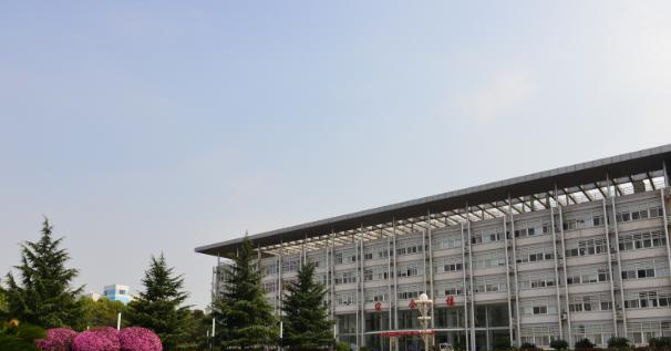 武汉软件工程职业学院单招报名条件