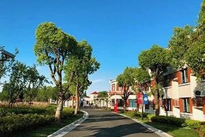 上海宏润博源学校校园小道