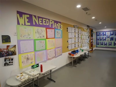 海淀凯文国际小学课程