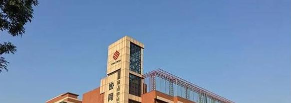 佛山协同国际学校小学部2020年招生计划