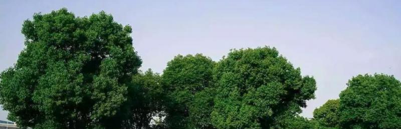 南京医科大学什么专业比较好(2023重点特色王牌专业名单汇总)