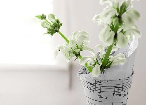 竞选团委部长演讲稿