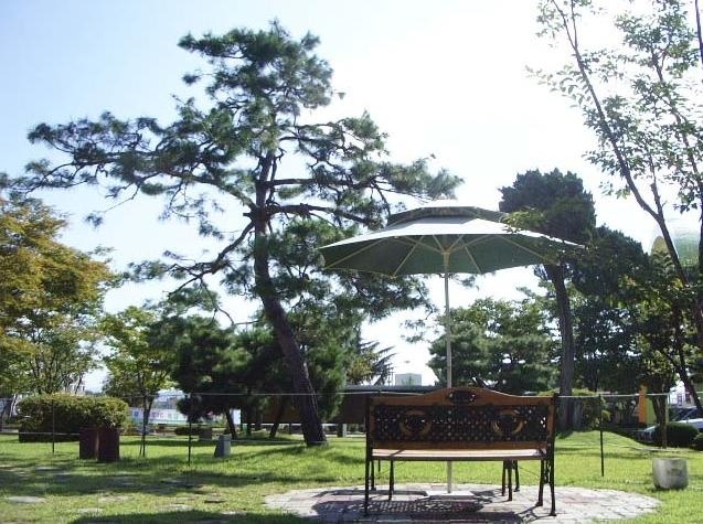 建阳大学