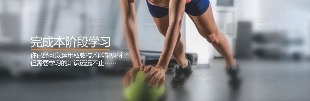 减脂秘籍