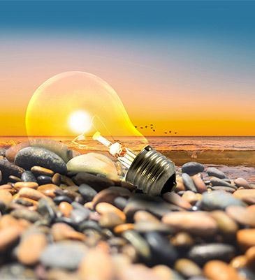 我们的培训内容