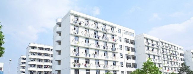 浙江工商职业技术学院2019年单招录取分数线