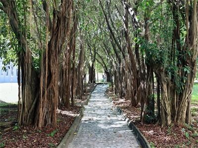 雷纳森英豪国际学院
