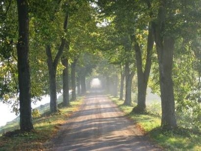 瑞典农业科学大学