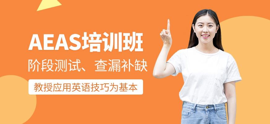 AEAS培训班