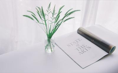 2018年度品牌实力教育机构