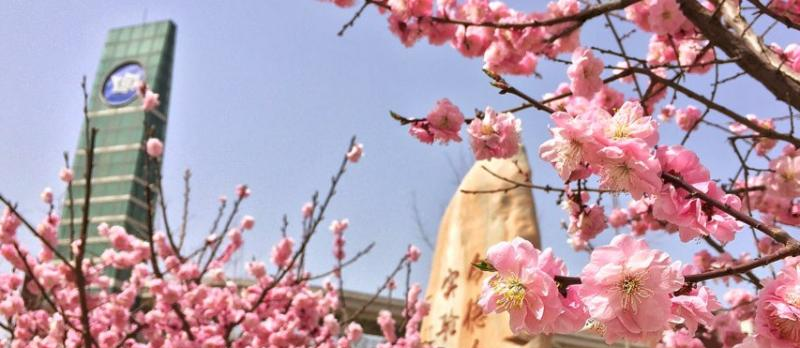 山西省实验中学2023年报名条件、招生要求、招生对象