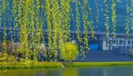 重庆工程职业技术学院2022高职分类考试分数线