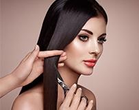 发型区域安排与讲解