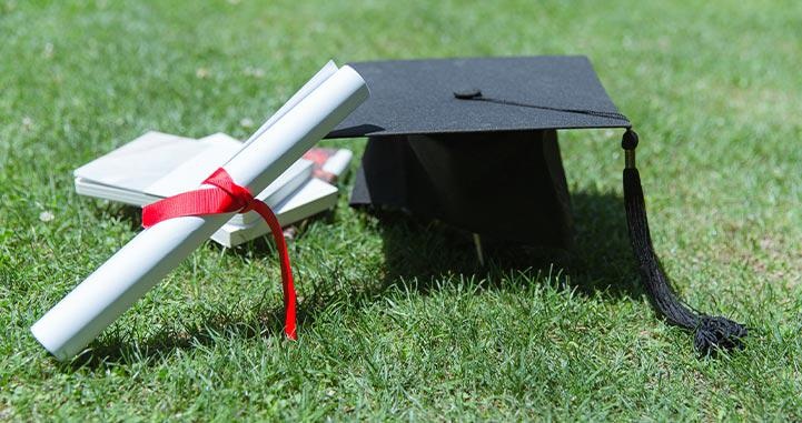 学习难度低